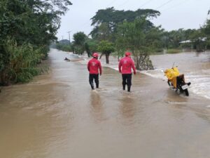 Genera Frente Frío No. 14 vados y caída de más de 32 árboles en Tabasco